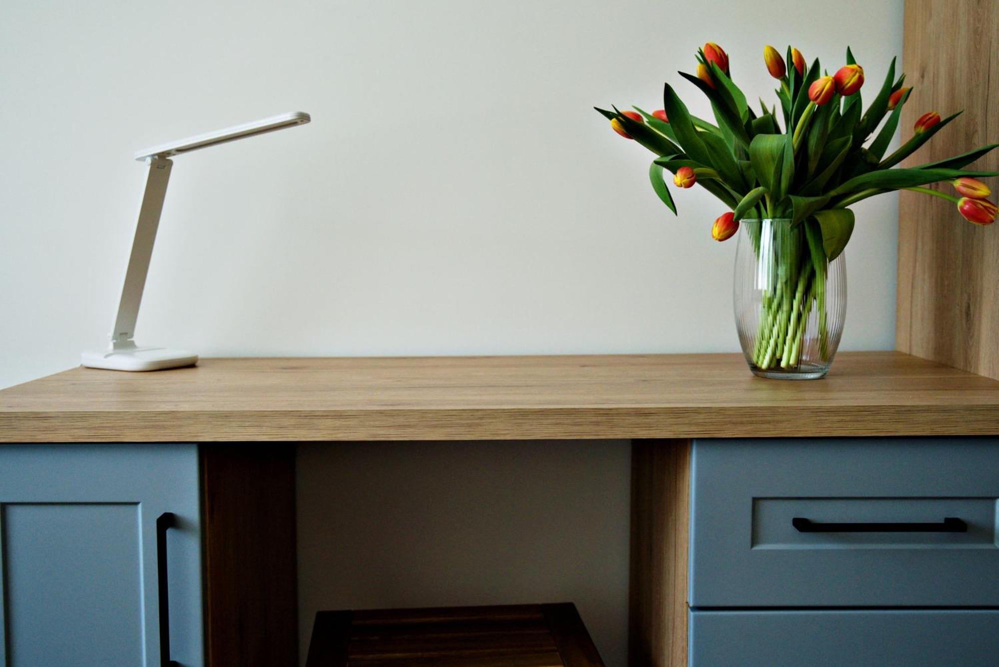 Apartment Bulwary 4 オシフィエンチム エクステリア 写真