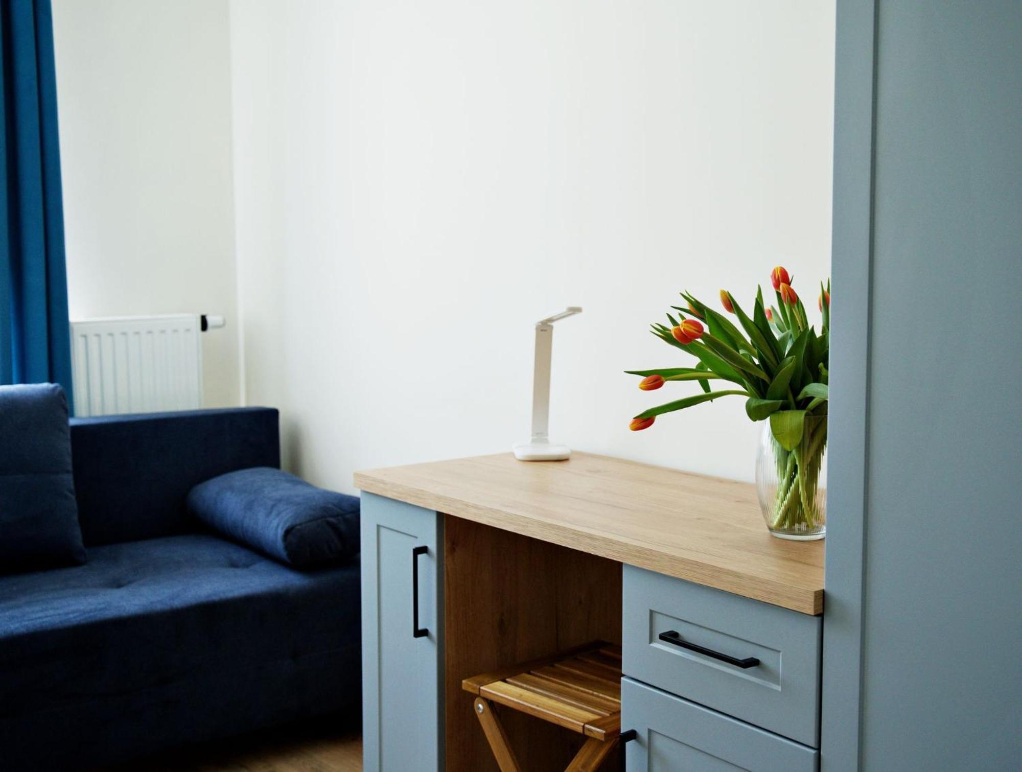 Apartment Bulwary 4 オシフィエンチム エクステリア 写真